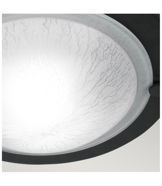 Plafonnier Berwick Verre,Acier Noir