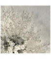 Applique murale Sunburst Acier doux,verre Clair, chromé