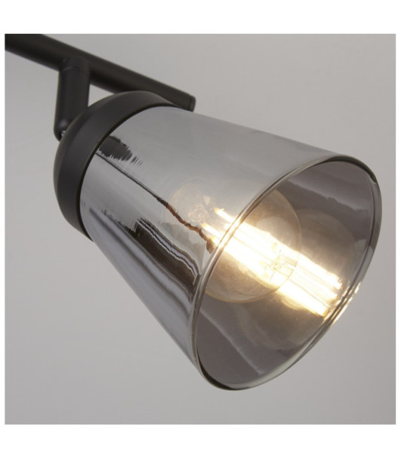Mega spotlight Mild steel Matt black, Smoked