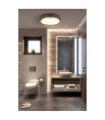 Plafonnier Salle de bains Phoenix Acier doux,verre Noir