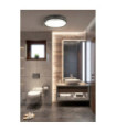 Ceiling light Bathroom Phoenix Mild steel, glass Black