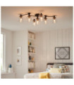 Hinkley ceiling light Clear glass, black steel with heritage brass