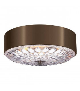Plafoniera botanica, 40,6 cm, ottone anticato scuro, vetro acidato
