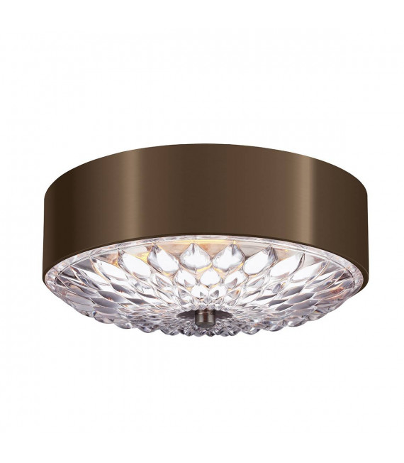 Plafoniera botanica, 35,2 cm, ottone anticato scuro, vetro acidato