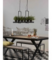 TRAY black ceiling light 3 bulbs